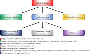 Full Text The Danish Health Care System And Epidemiological