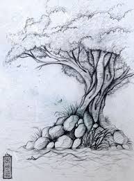 Google Image Result For Http Getdrawings Com Image Pencil Tree Drawing 51 Jpg Tree Drawing Tree Pencil Sketch Tree Drawings Pencil