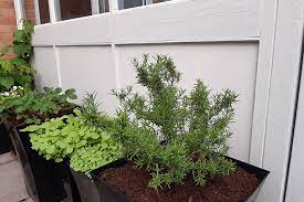 Maybe you would like to learn more about one of these? Cuprinol Garden Shades Review Of Outdoor Paint For The Garden