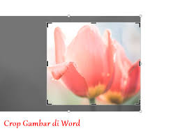 Biasanya, ketika menghapus background dengan cara manual, akan meninggalkan jejak tidak tapi pada tepi foto, anda bisa. Cara Memotong Gambar Di Word Crop To Shape Lengkap Semutimut Tutorial Hp Dan Komputer Terbaik