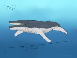 More full body flat commissions @ furaffinity! Ardi The Whale G By Jabirucrocuta By Darthardios Fur Affinity Dot Net