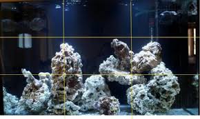 It was super easy to make awesome aquascape structures with just a dab of cement. Aquascape Chris Reef