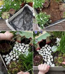 Mon Mini Jardin Mini Jardins Jardinage Jardins