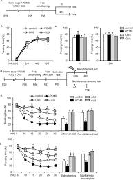 Welcome to civet technologies sdn. Predictable Chronic Mild Stress During Adolescence Promotes Fear Memory Extinction In Adulthood Scientific Reports