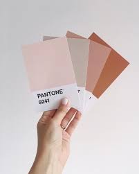 Camilla Corradi On Instagram Favourite Color Combo Pantone 9241 Pantone Whisper Pink Pantone 7590 Pan Brand Color Palette Pantone Pink Color Inspiration