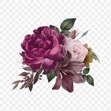 Download Premium Png Of Beautiful Hand Drawn Pink Roses Transparent Background Png By Donlaya About P Flower Png Images Free Watercolor Flowers Rose Flower Png