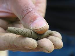 How to assess soil texture The finger testing method It consists on simple  'finger rubbing', forming and rolling out of moist soil samples Crush a  sample of soil (a handful) and remove