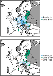 After the initial infection, symptoms can take two to ten days to appear. Frontiers The Risk Of Infection By African Swine Fever Virus In European Swine Through Boar Movement And Legal Trade Of Pigs And Pig Meat Veterinary Science