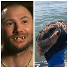 turning off post comments hinders fish identification