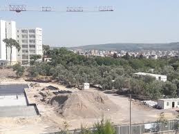 buca seyfi demirsoy hastanesi yerine yapilmasi planlanan yeni hastane insaatinda agac katliami