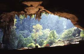 There are 6 national parks within driving distance from miri alone. Niah Cave Sarawak Borneo World Archaeology
