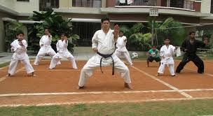 karate academy india karate