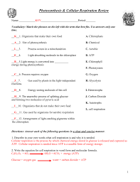 Respiration And Photosynthesis Worksheets