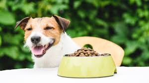 The freezer is the best place to store dog food. Kibble Boosters 8 Fresh Foods To Bump Up Your Dog S Bowl