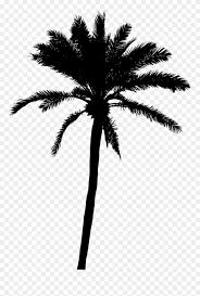 In this page, you can download any of 40+ palm tree png vector. 20 Palm Tree Silhouette Vol Palm Trees Vector Png Clipart 204445 Pinclipart