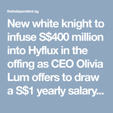 New White Knight To Infuse S 400 Million Into Hyflux In The Offing As Ceo Olivia Lum Offers To Draw A S 1 Yearly Salary The Ceo Case Management Saving Lives