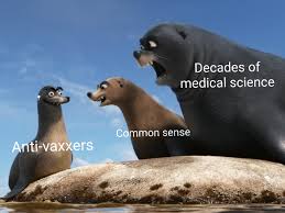 She can't have got my message. Oh No He Cant Hear Us He Has Airpods In