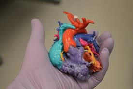 ASU students' 3-D virtual research aid heart transplants at Phoenix  Children's Hospital