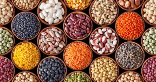 Home - Smart Protein Project