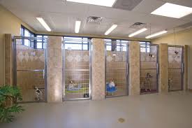 Allergies, bites and diseases to watch out for. Kennels Dog Boarding Kennels Dog Boarding Facility Dog Kennel