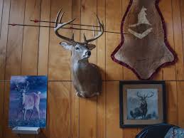 Check spelling or type a new query. Shooting Bambi To Save Mother Nature Planet Money Npr