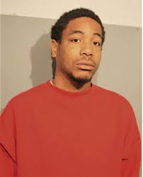 ᐅ Illinois Criminal Records 2009-2025