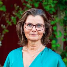 Amazon.com: InsideOut : Sarah Wester Johanna Rosenberg: Audible Books &  Originals