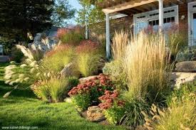 Love The Ornamental Grasses And Sedum Farmhouse Landscaping Ornamental Grass Landscape Sloped Garden