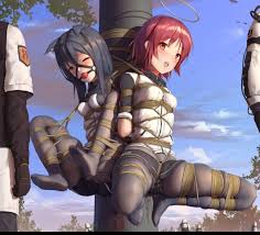 妖狐吧- 小说- 被绳捆索绑的女侠们- 第1章- 挨捆的肉畜