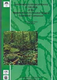 Image result for Trachyphrynium braunianum