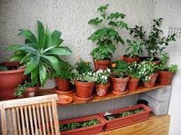 Small space garden design pictures. Garden Design Ideas For Small Spaces The Micro Gardener