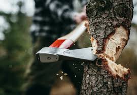 Jedoch ist damit nicht die heutige methode mit motorsäge und holzvollernter, einer großen holzerntemaschine, gemeint. Lighting A Stone Oven