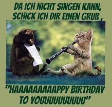 Deine verantwortlichkeiten werden zunehmen, aber auch wird deine fähigkeit zu lernen zunehmen. Wir Wunschen Dir Alles Gute Zum Burzeltag Katzenhumor Ausgestopftes Tier Susse Katzen