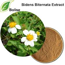 Image result for Bidens biternata