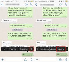 Kak Udalit Soobshenie Iz Whatsapp U Sobesednika V 2021 Godu Esli Proshlo Mnogo Vremeni I Esli Udalil U Sebya