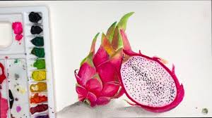 How To Draw Dragon Fruit Dragon Fruit Painting Youtube Check out our dragon fruit drawing selection for the very best in unique or custom, handmade pieces from our shops. how to draw dragon fruit dragon fruit painting