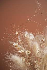 Dried lavender buds and flowers. Dried Flowers Grasses Honestly Obsessed Wtf Currently Obsessed With Dried Flowers Grasses Honestly W Torrede Blomster Smukke Blomster Blomster