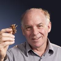 50+ "Bob Raven" profiles