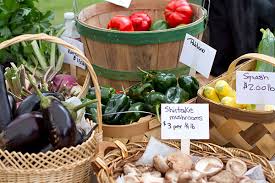 Dietetic Internship Lipscomb University