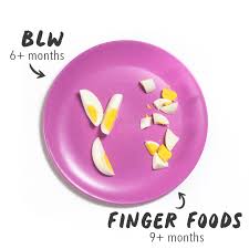 Kittens in this age group need around 30 calories per pound of body weight per day. The Ultimate Guide To Finger Foods Great For 9 Months Baby Foode