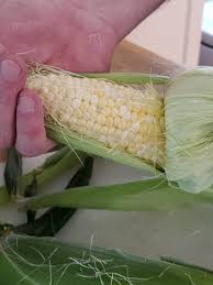 You can soak and smoke. Vfms3aybfj8fum