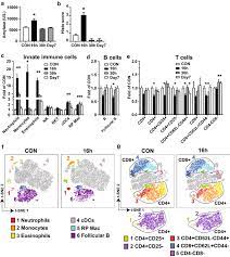 Check spelling or type a new query. Characteristic Pancreatic And Splenic Immune Cell Infiltration Patterns In Mouse Acute Pancreatitis Cell Bioscience Full Text