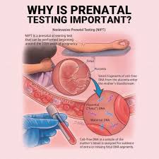 Image result for Fetal Testing Indications