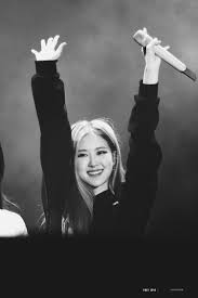 Black And White Rose And Cute Image Blackpink Blackpink Rose Black And White Aesthetic