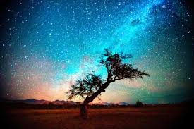 Passeios no Atacama: Observação de estrelas e passeios noturnos |  Sundaycooks