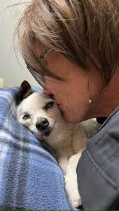 Kissing my baby goodbye at the rainbow bridge