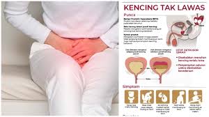 Khususnya pada saluran kencing, prostat dan organ ginjal. Kencing Tak Lawas Punca Simptom Cara Atasi Masalah Kerap Ke Tandas