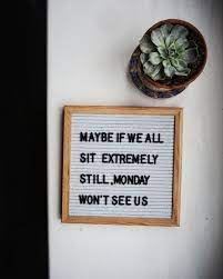 Mountain boarding is a wild new adventure sport. Felt Letter Boards Inspirational Quotes And Love Notes Milestones Photography Prop And The Most Versatile Message Board Quotes Felt Letters Felt Letter Board