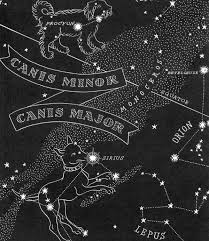 Dog days , the phrase invokes the hottest, most stifling days of summer.the 40 days, beginning july 3 and ending august 11 coincide with the heliacal (at sunrise) rising of the dog star, sirius. The Dog Days Of Summer Have A Delightfully Ethereal Origin Barkpost