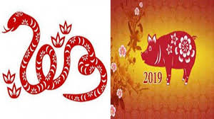 Shio Ular Ini Ramalan Untukmu Di Tahun Babi Tanah 2019 Peruntungan Jodoh Karir Dan Kekayaan Halaman 2 Pos Kupang